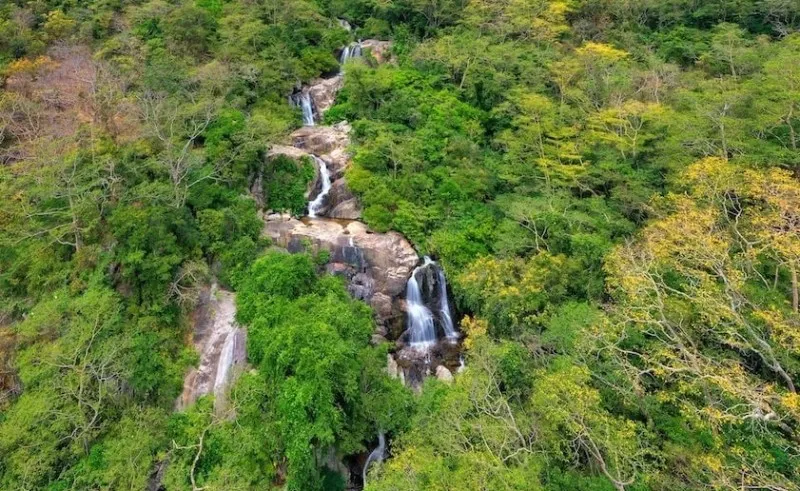 Vườn Quốc gia Núi Chúa vịnh Vĩnh Hy