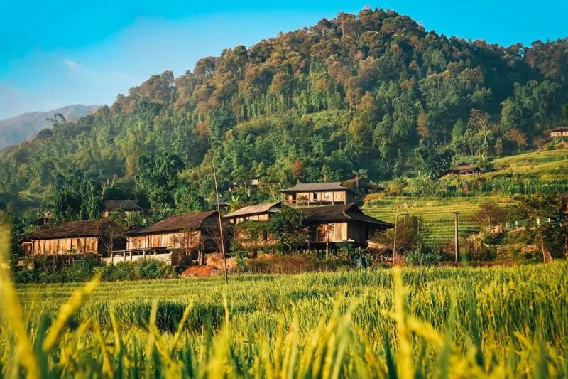 Yên Bái hút hồn du khách bởi vẻ đẹp đặc trưng của vùng cao phía Tây Bắc. (Ảnh: Internet)